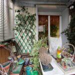 EUROPA VIA GRAN BRETAGNA pressi