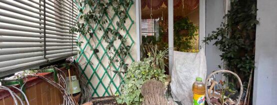 EUROPA VIA GRAN BRETAGNA pressi