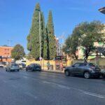 TERRA TETTO COVERCIANO NUOVO