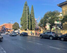 TERRA TETTO COVERCIANO NUOVO