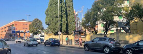 TERRA TETTO COVERCIANO NUOVO